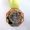 Medalla de Oro con distintivo amarillo CGRICT